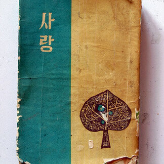 박화성 작품 7