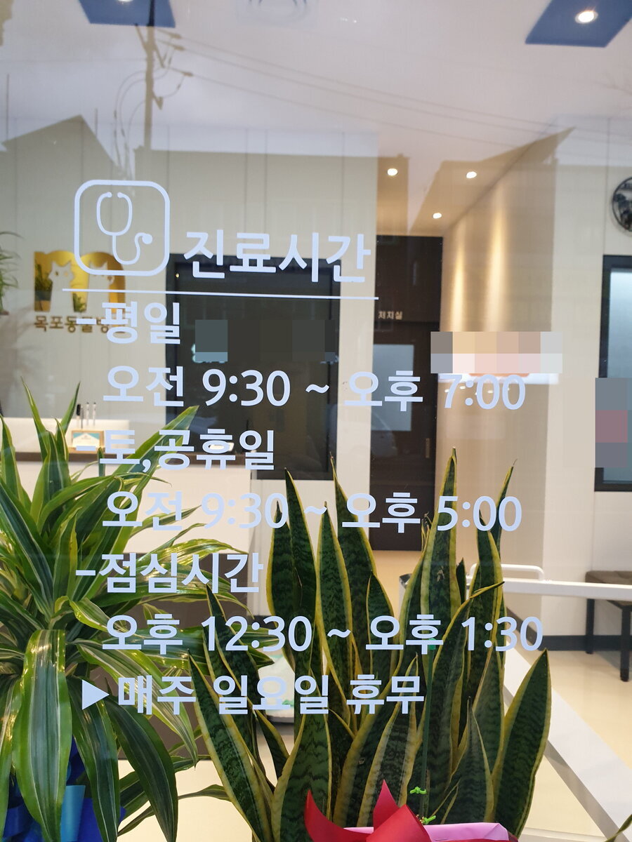 동물병원