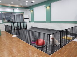 로즈퍼피