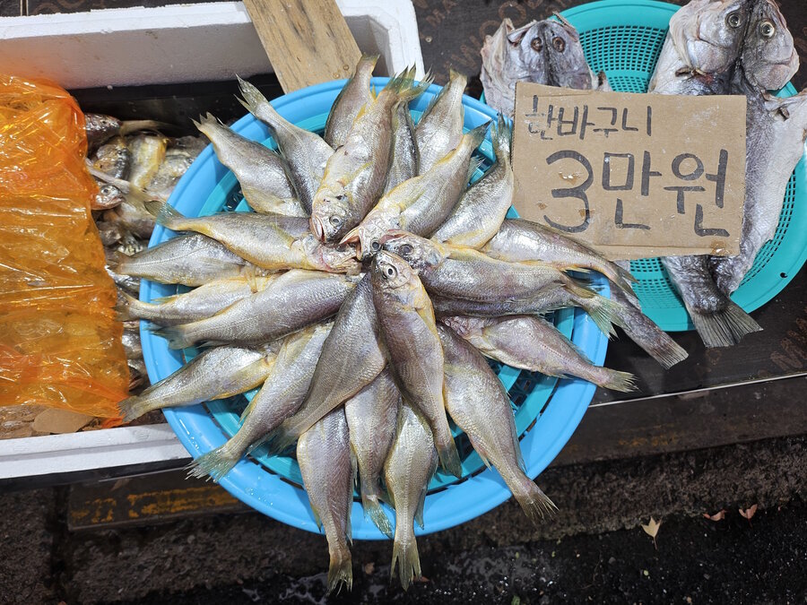 간판