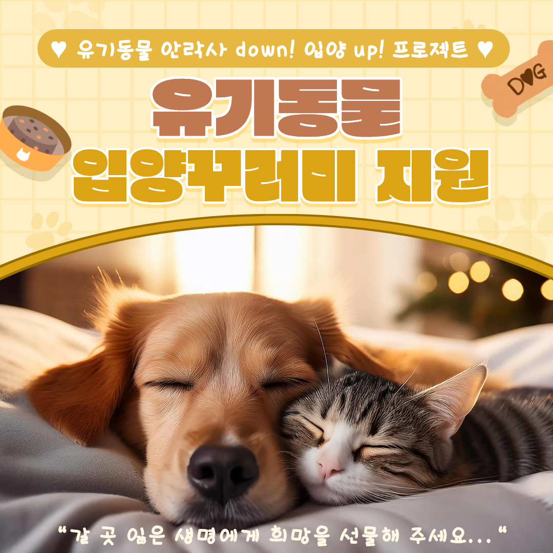 [유기동물 안락사 down! 입양 up! 프로젝트] 유기동물 입양 꾸러미 지원, 갈 곳 잃은 생명에게 희망을 선물해 주세요...