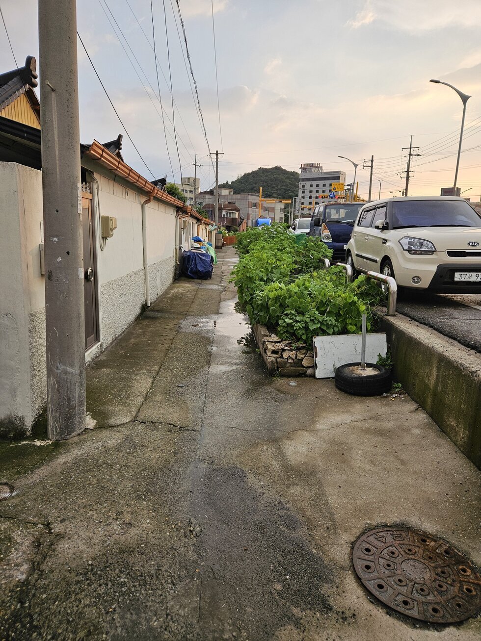도로 점거사진1