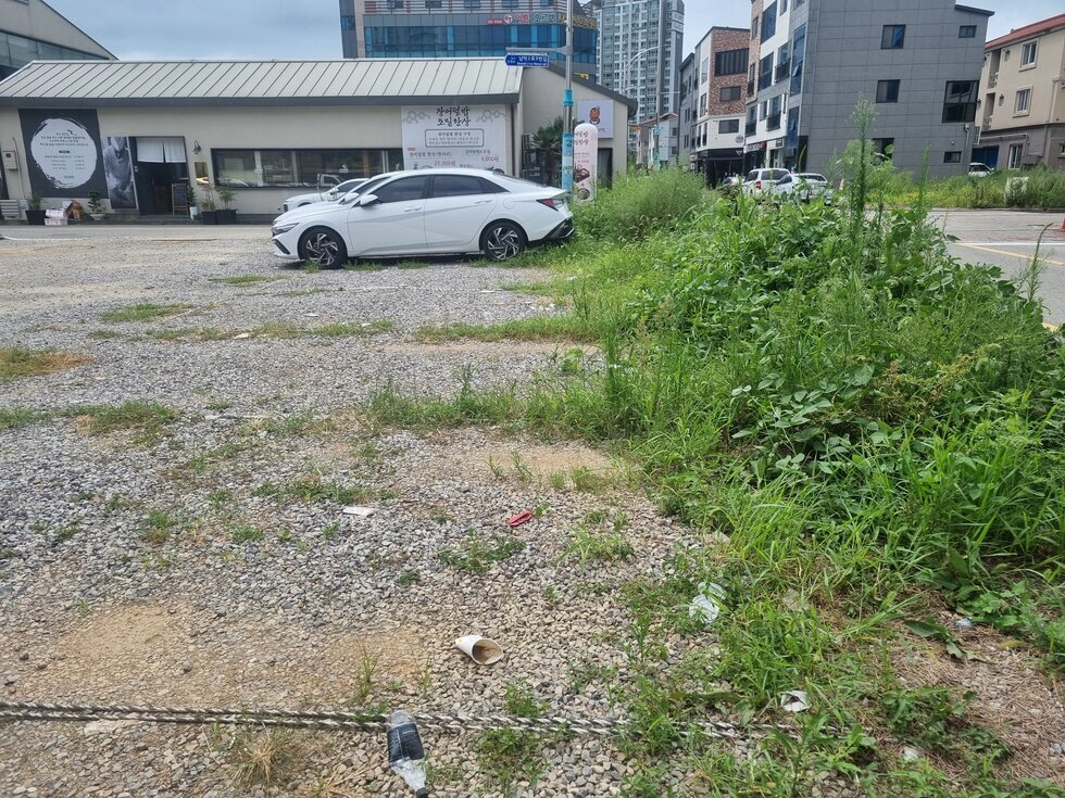 참고 사진