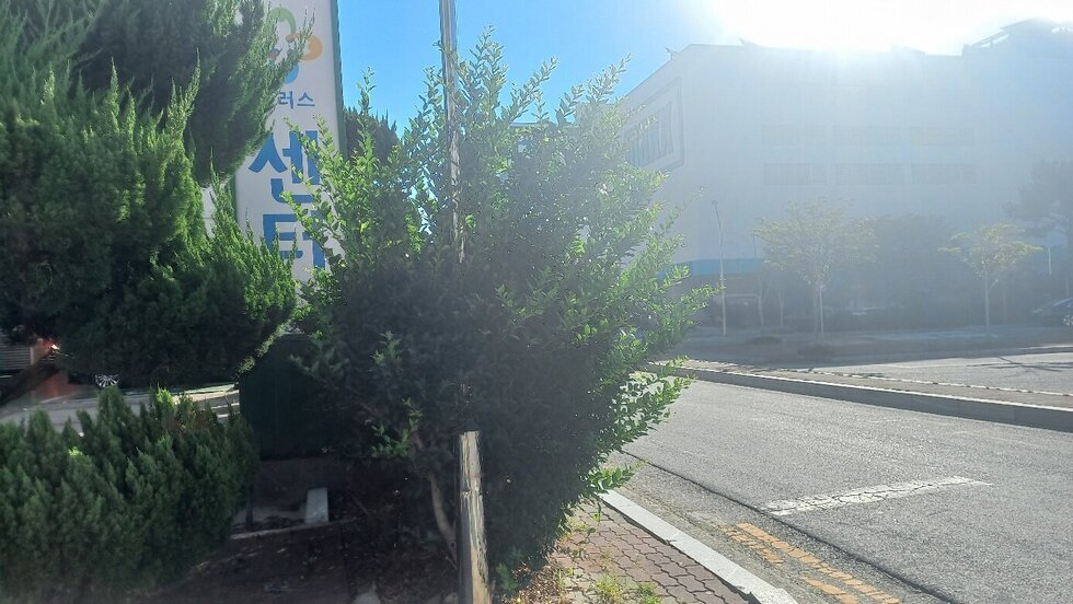 주차장  쪽 사진  24/08/30  오전 8시 22분