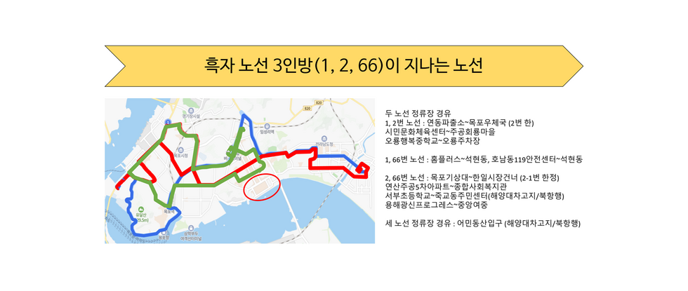 1번 버스, 2번 버스, 66번 버스를 대조적으로 비교했을 때 평화광장 구역이 부실하다는 것을 알 수 있습니다.