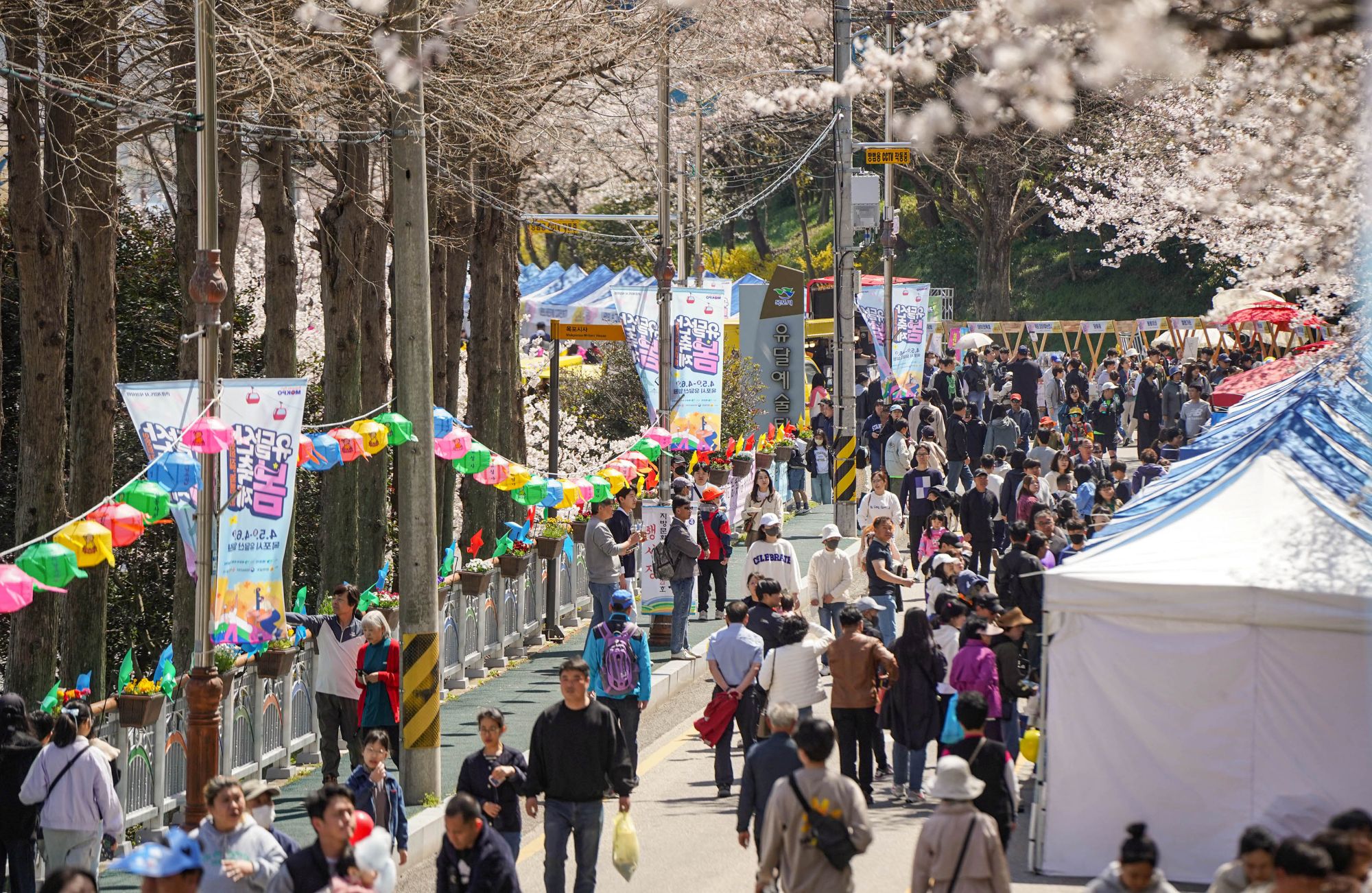 봄꽃 물든 유달산, 설렘 가득 봄 소풍…2026 유달산 봄축제 개최