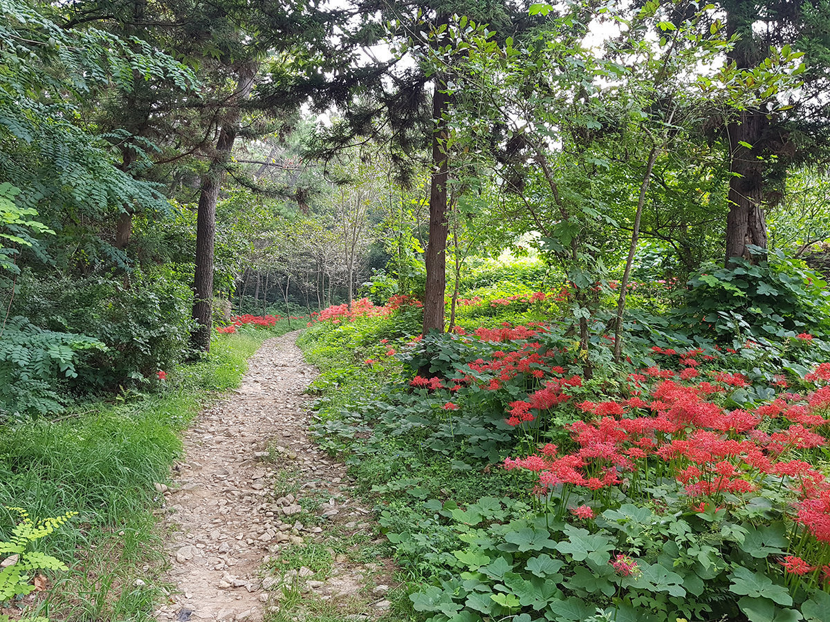 양을산산림욕장