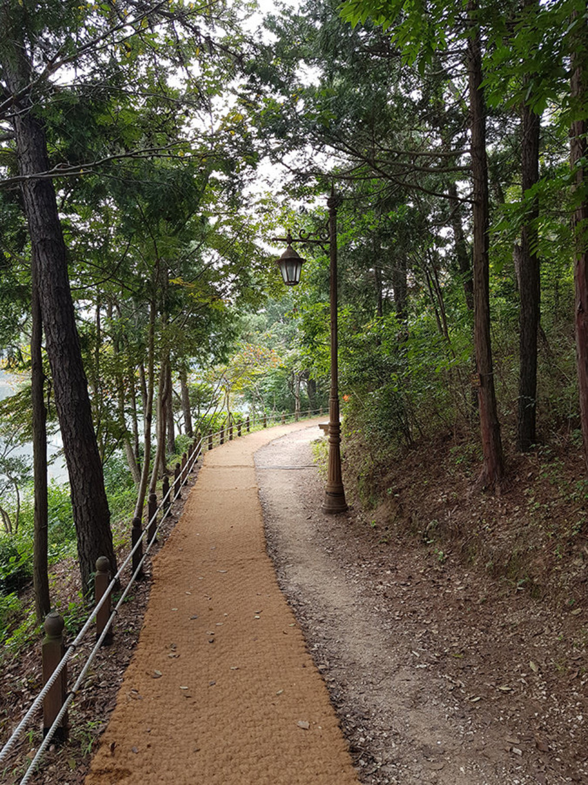 양을산산림욕장