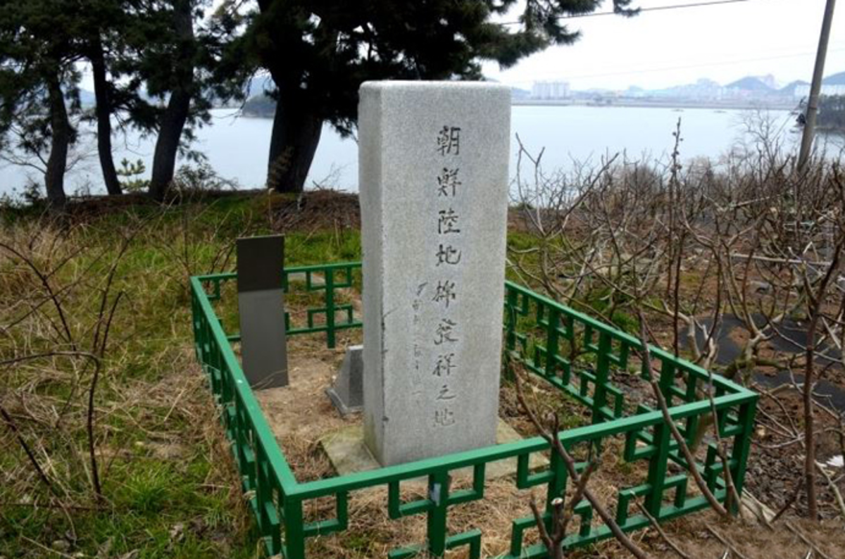 육지면발상비