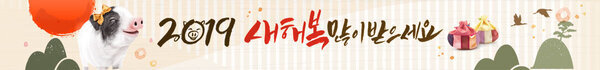 2019 새해 복 많이 받으세요 