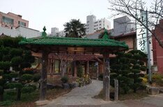 산수정